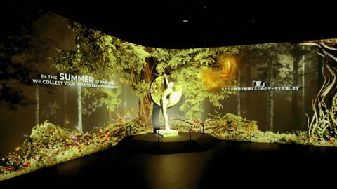 La forêt, dans une salle immersive