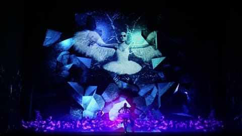 La danseuse, en cygne